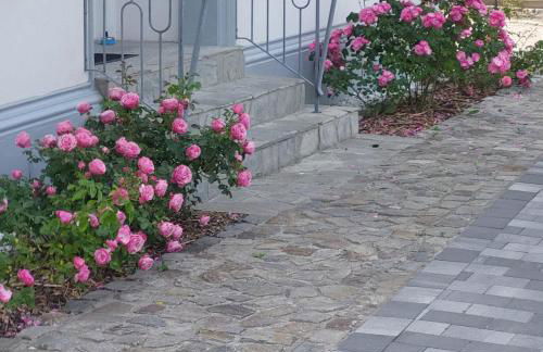 Privatunterkunft im Erdgeschoss - Photo 34