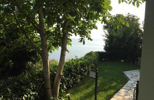 Isabel Artemis - Foto 61