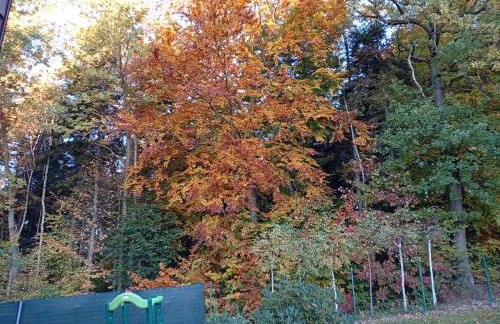 Szumią Dęby - Marcyporęba - Photo 44