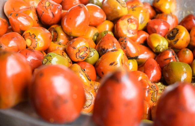 Cali Food Tour - Foto 6