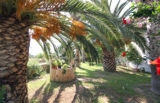 Irina Beach Hotel - Photo 80