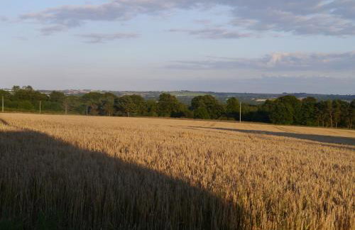 Riding Farm Cottages - Foto 37