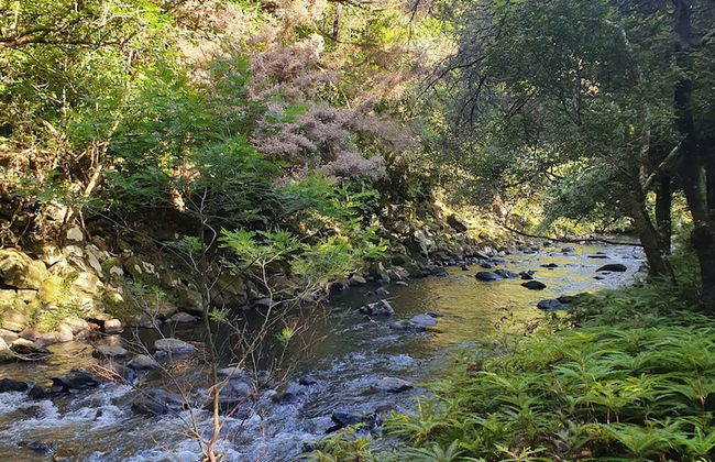 Kerikeri Park Lodge - Foto 74