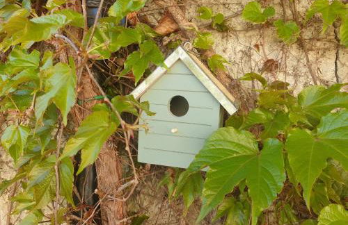 Petite étoile de Mer - Studio hyper équipé à 150m d'une plage de sable fin grande terrasse presqu'île de charme - Photo 61