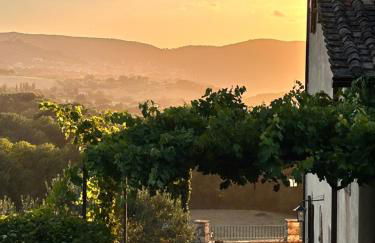 Torre Palombara - Dimora Storica - Foto 110