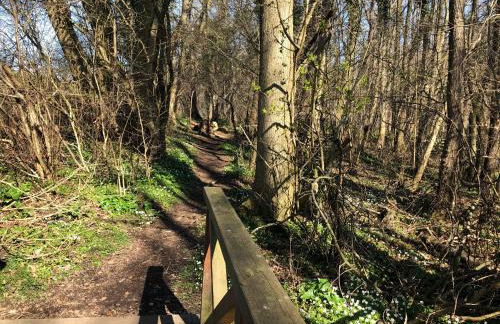 Ferienwohnungostseeblick - Foto 44