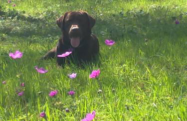 Poggio Gherardo - Foto 24