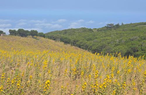 FINCA LA JORADITA - Foto 23