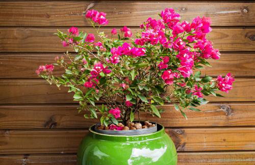 Art Loft Itaipava - Foto 10