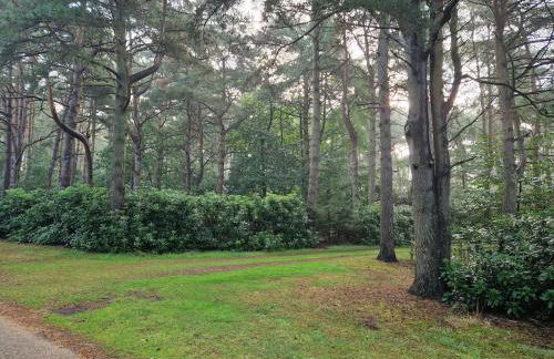 Fawn Lodge, Kelling Heath - Woodland Setting and Pets Welcome - Photo 29
