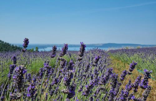 Borgo del Mastro è la vostra vacanza bucolica! - Foto 68