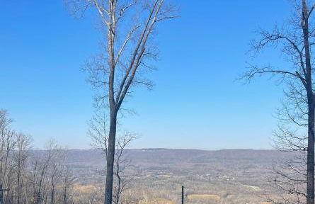 Tree Top View of lookout mountain - Foto 25