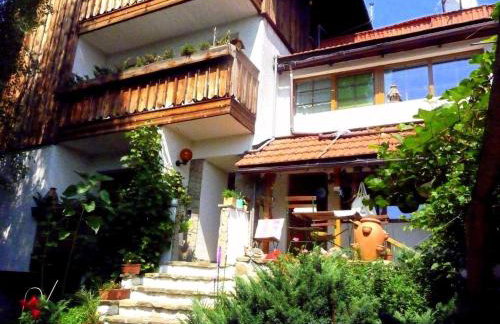 Farma Zdrowia - Foto 35