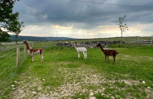 The Vogue Lodge - Photo 27