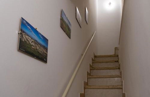 Rosa azzurra - Foto 55