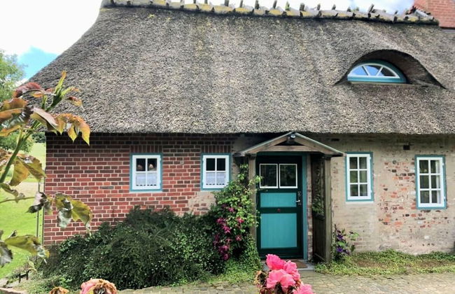 Reading Roof Cate Fuchsgraben - Foto 1