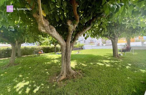 Primera Línea de playa Voramar BookApartments - Foto 26