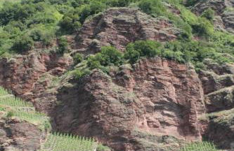 Ferienhaus Moselblick mit kostenfreien ÖPNV-Ticket - Foto 21