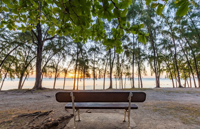 Mon Choisy Beach R. - Photo 28