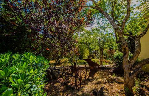 Can Pascolet - Foto 71