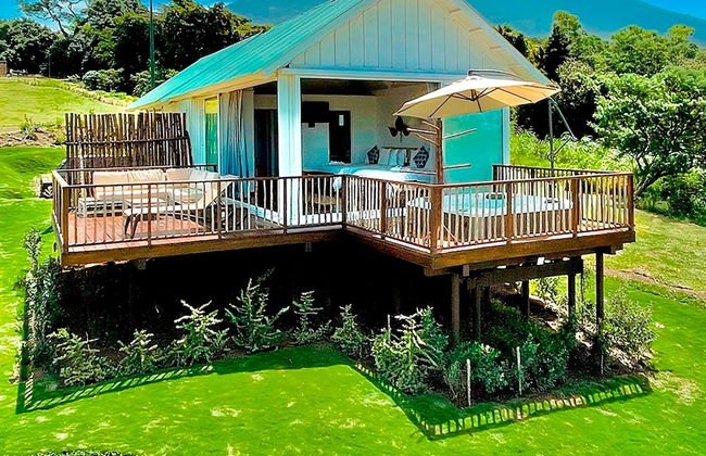 Finca San Cayetano - Photo 13