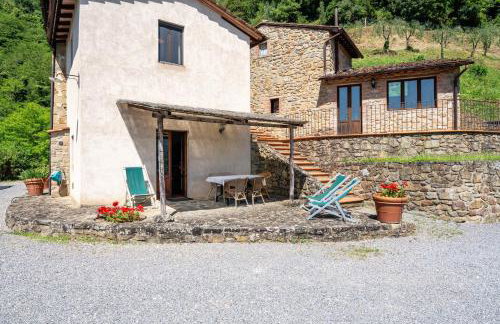 Fattoria di Pietrabuona - Foto 19