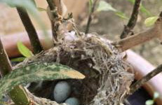 Casa Violeta by 8essentially - Photo 50