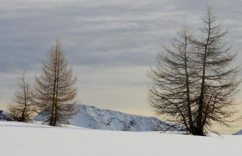 Ca' del Pettirosso - Foto 48
