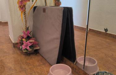 Ka la paca - Foto 30