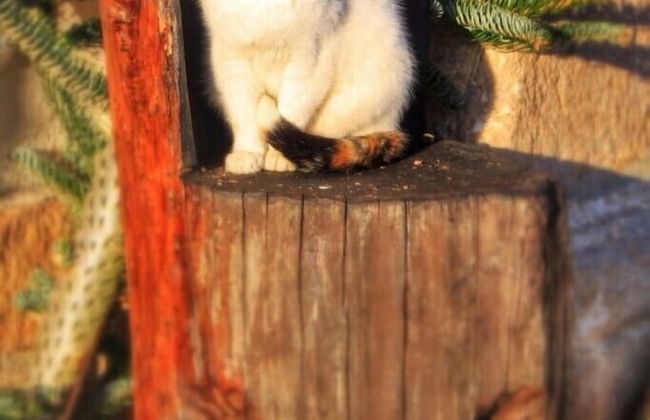 Casa Rural Areano - Foto 30