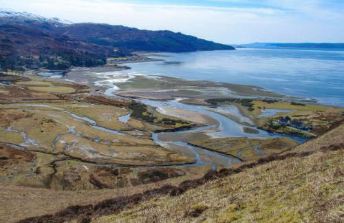 Market Stance - Photo 39