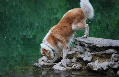 Apartment Villa Zizzy - Foto 34