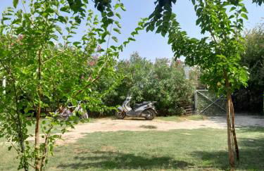 Villa Menta - Foto 2