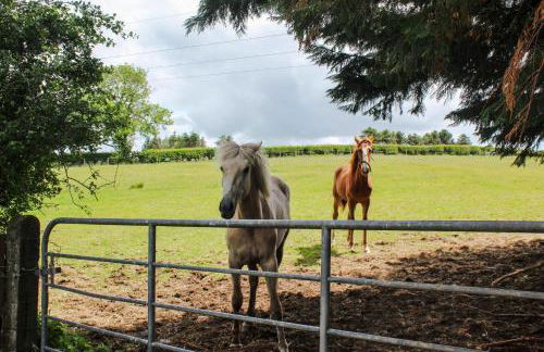 Creggan Deveskey Cottage New Hot Tub At Property - Foto 52