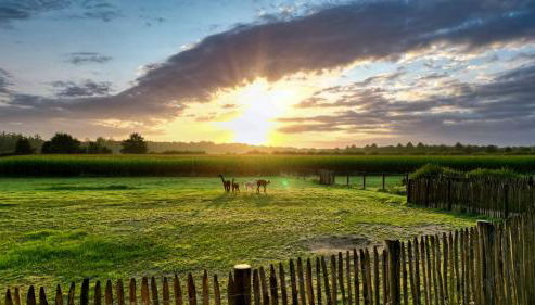 Ferienwohnung Alpakablick - inklusive Alpaka Meet & Greet an bestimmten Terminen - Foto 5