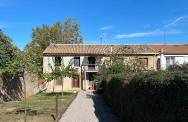 Vigneronne classée 3 étoiles - Photo 22