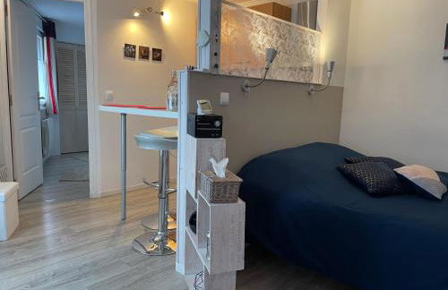 Studio rez-de-chaussée, à Lesquin/Lille aéroport - Photo 19