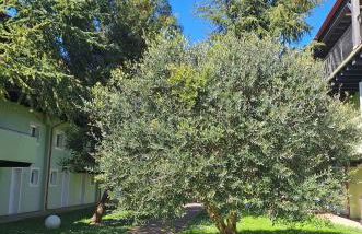 Residence Duna Rossa - Family Friendly - Foto 4