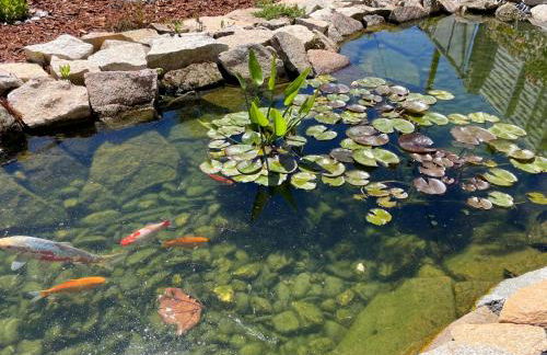 Cantinho D'Aldeia - Foto 50