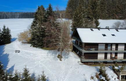 Weiherhaus Orchidee - Foto 12