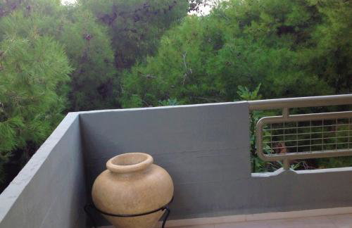 Amazing Apartment - Photo 16