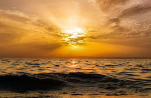 El oasis relajante the relaxing oasis - Photo 44