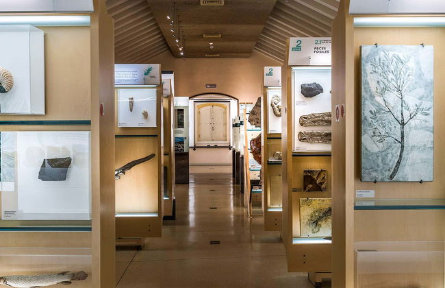 MUNA Museum Tickets + Teide National Park Audio Guide - Foto 1