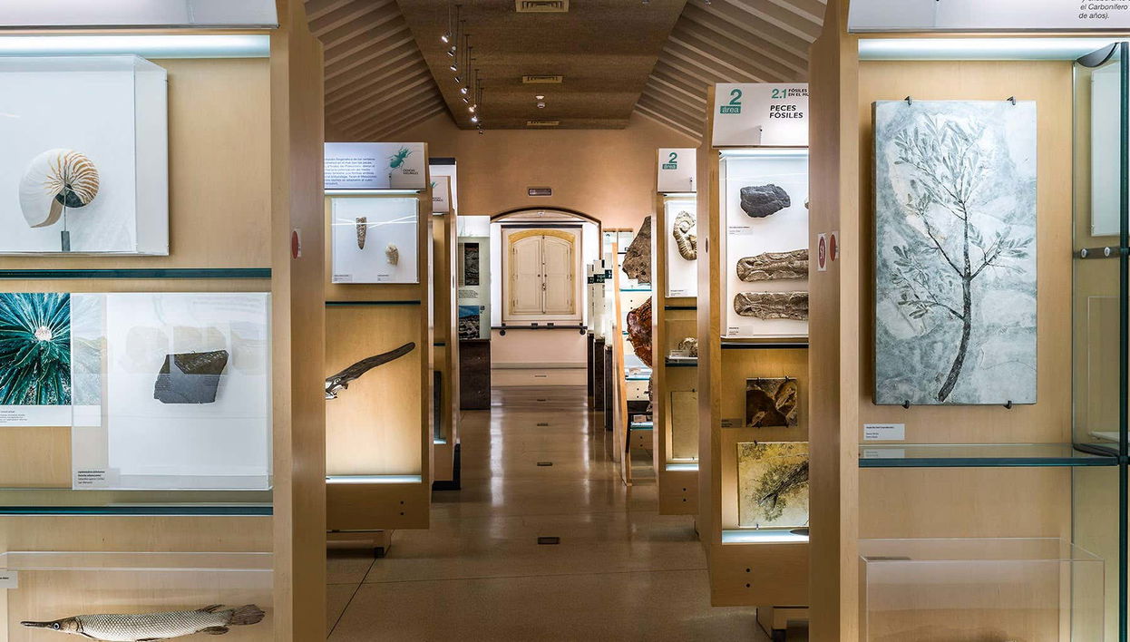 MUNA Museum Tickets + Teide National Park Audio Guide - Foto 1