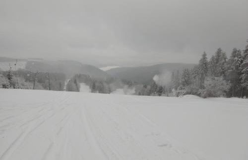 FeWo 12 45qm bis 3 Pers nahe Winterberg - Foto 23