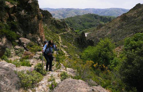 Wendy's Casita - Foto 24