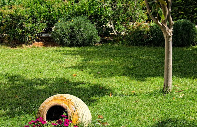 Colonides Beach Hotel - Foto 4