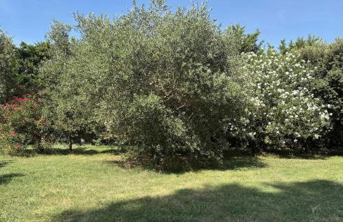 Gite dans ancien moulin - Foto 15