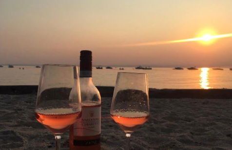 Ferienwohnung Haid Bodensee, Umgebung Bodman-Ludwigshafen, Radolfzell, Überlingen, Luxus FeWo Haid - Foto 14