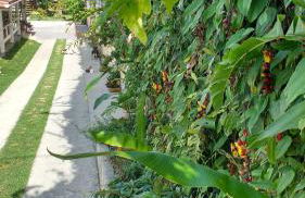 RECANTO RAVI - Foto 31